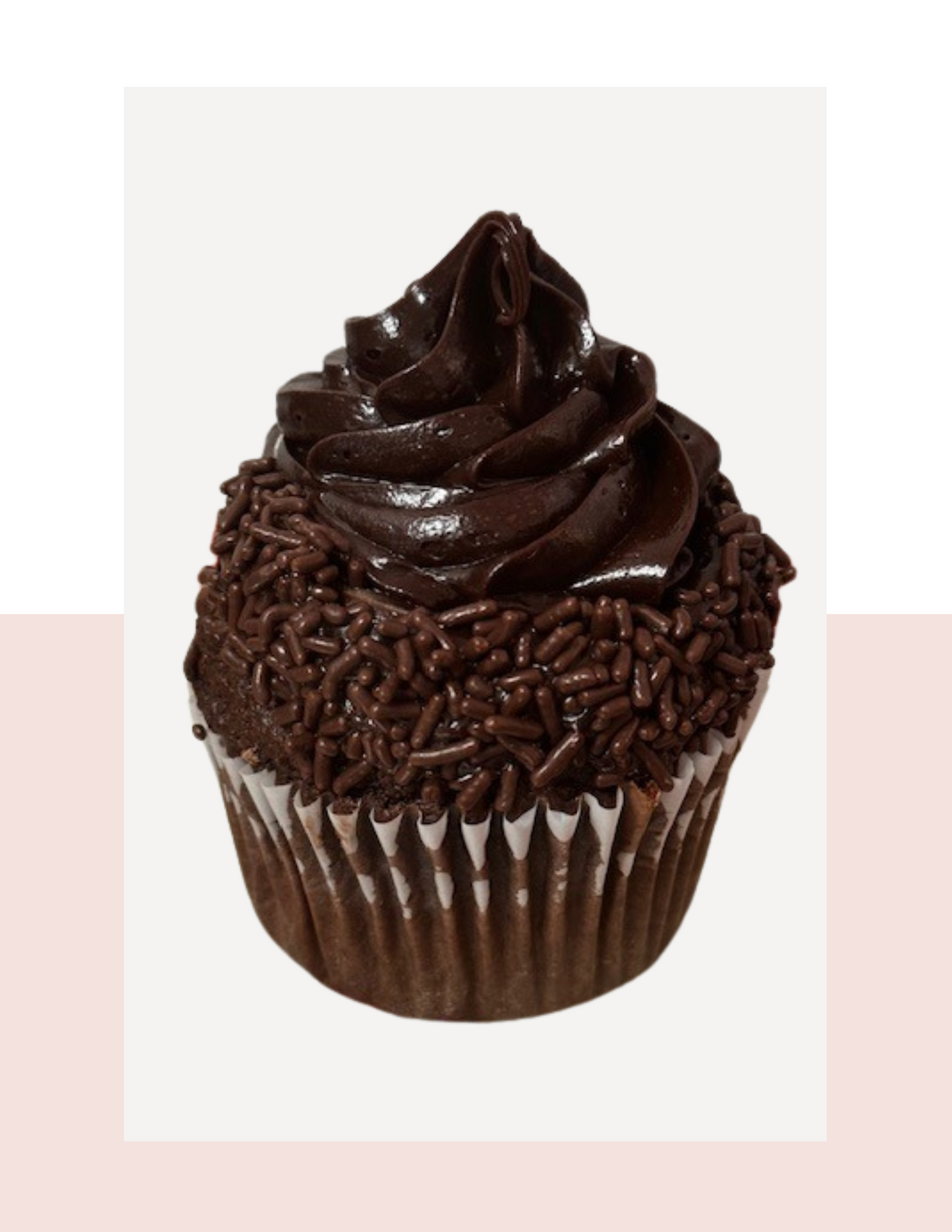 Jumbo Double Chocolate Cupcake